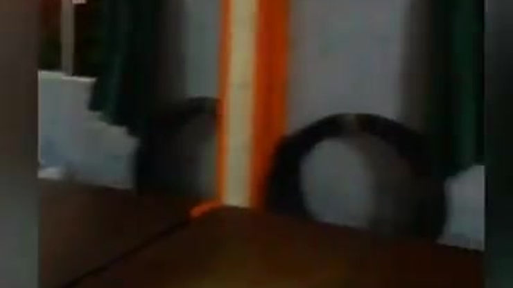 videobox2